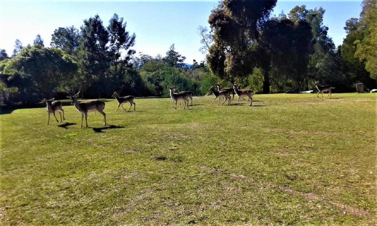 Green Hills Forest Lodge The Crags المظهر الخارجي الصورة